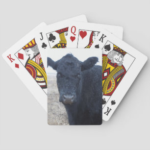 Regna-Blött blöt samlat westernt Spel Kort