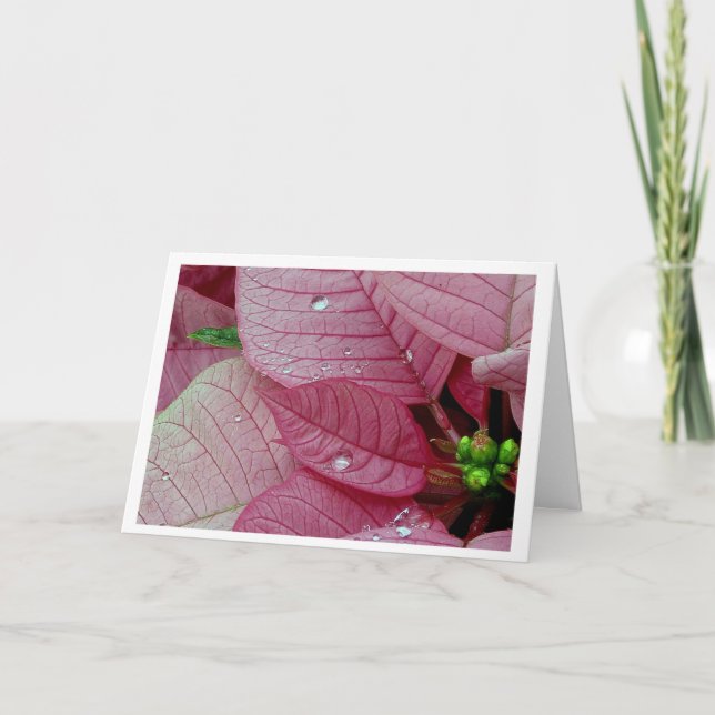 Regna tappar helgkort (Framsida)