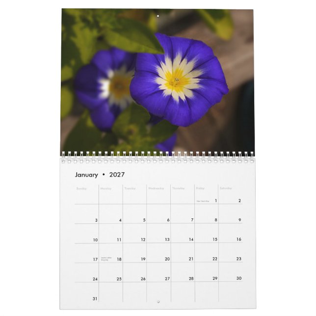 Regnbåge 2014 av blommor kalender (Jan 2027)