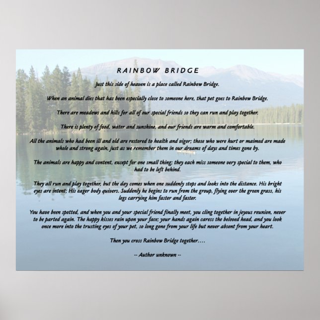 Regnbåge Bridge 2 Poster (Framsidan)