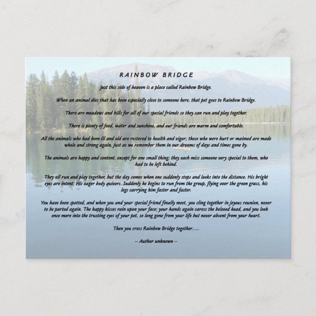 Regnbåge Bridge 2 Vykort (Framsida)