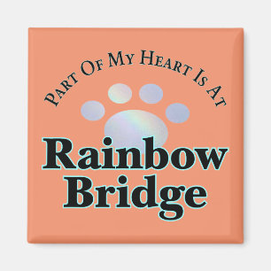 Regnbåge Bridge Tass Square Magnet