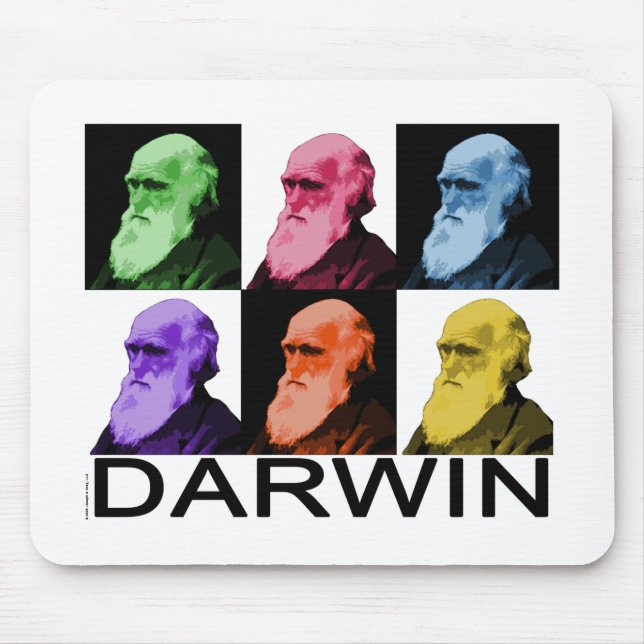 Regnbåge Darwin Musmatta (Framsidan)