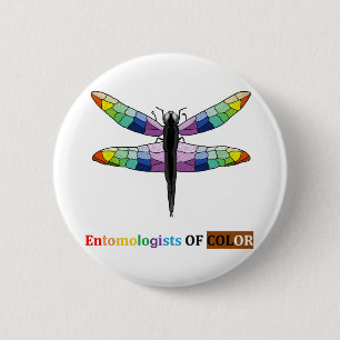 Regnbåge Dragonfly Knapp