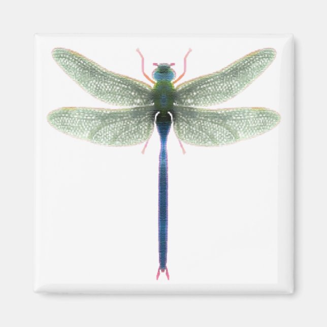 Regnbåge Dragonfly Square Magnet (Framsidan)