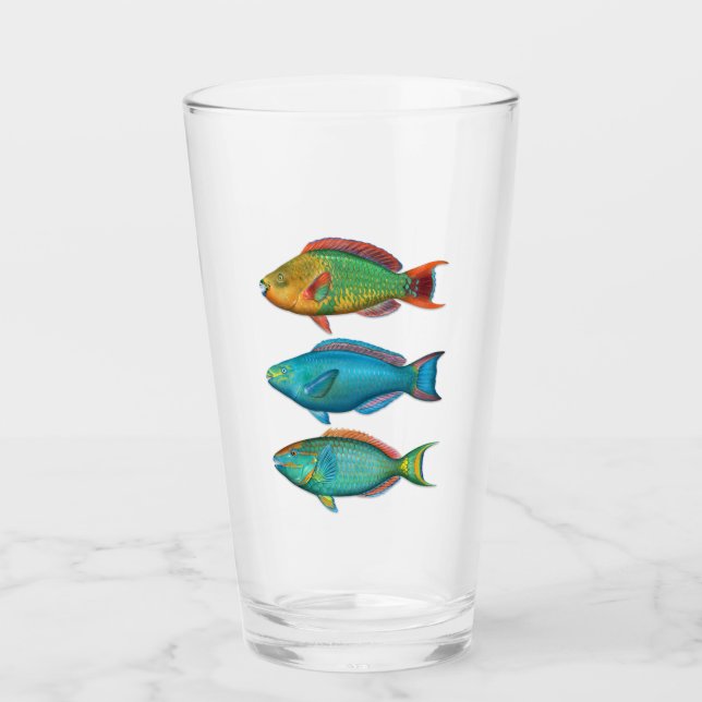 Regnbåge, drottning och Poplight Parrotfish Glass Glaskopp (Framsida)