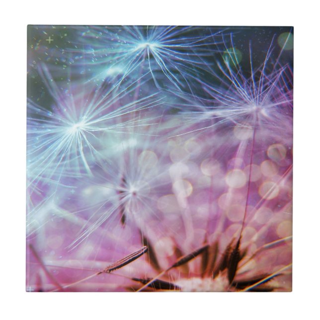 Regnbåge färgat flyta för maskrosPuffs Kakelplatta (Framsidan)