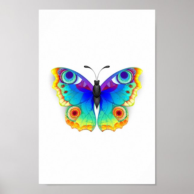 Regnbåge Fjäril Påfågel Öga Poster (Framsidan)