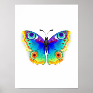 Regnbåge Fjäril Påfågel Öga Poster