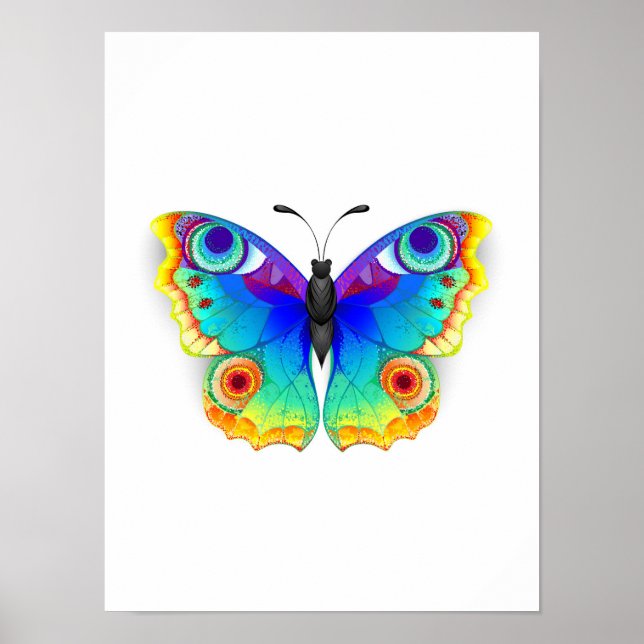 Regnbåge Fjäril Påfågel Öga Poster (Framsidan)