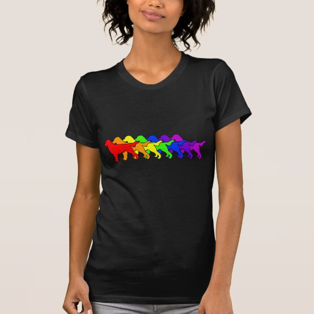 Regnbåge Flatcoat T-shirt (Framsida)