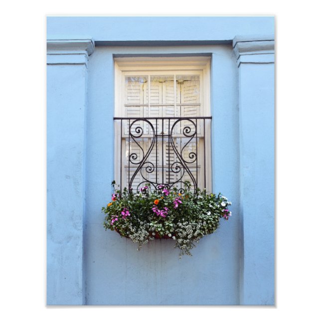 Regnbåge, fönsterruta, Charleston, S.C. Fototryck (Framsidan)
