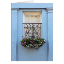 Regnbåge, fönsterruta, Charleston, S.C.