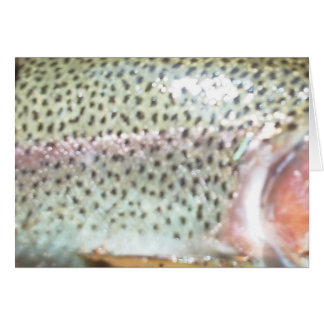 Regnbåge Hälsningskort