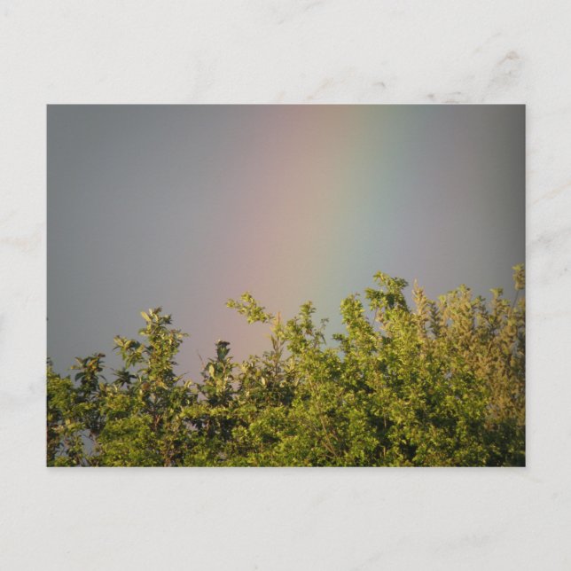 Regnbåge Himmel Postkort Vykort (Framsida)