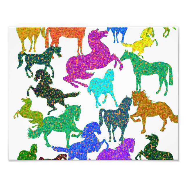 Regnbåge Horses - "Djävel om hästar!" Fototryck (Framsidan)