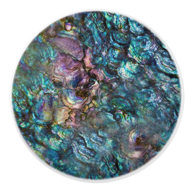 Regnbåge Iridescent Abalone Havsskal Knopp (Framsidan)