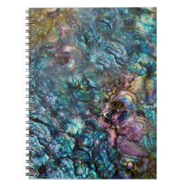 Regnbåge Iridescent Abalone Sjö Skal Anteckningsbok