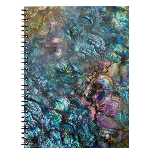 Regnbåge Iridescent Abalone Sjö Skal Anteckningsbok (Framsidan)