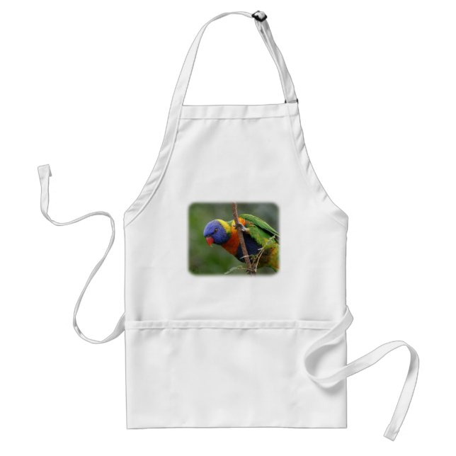 Regnbåge Lorikeet 9Y209D-178 Förkläde (Framsidan)