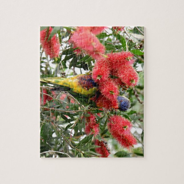 REGNBÅGE LORIKEET LANTLIGA QUEENSLAND AUSTRALIEN PUSSEL (Vertikal)