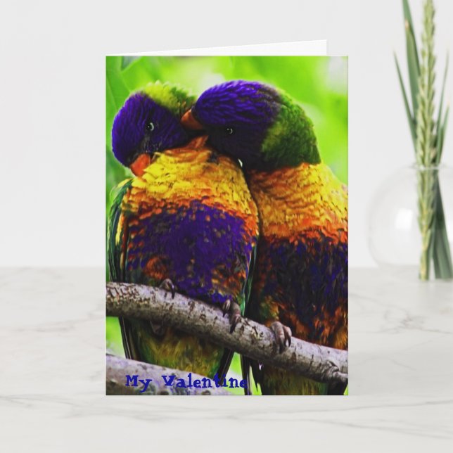 Regnbåge Lorikeets, min valentin Helgkort (Framsida)
