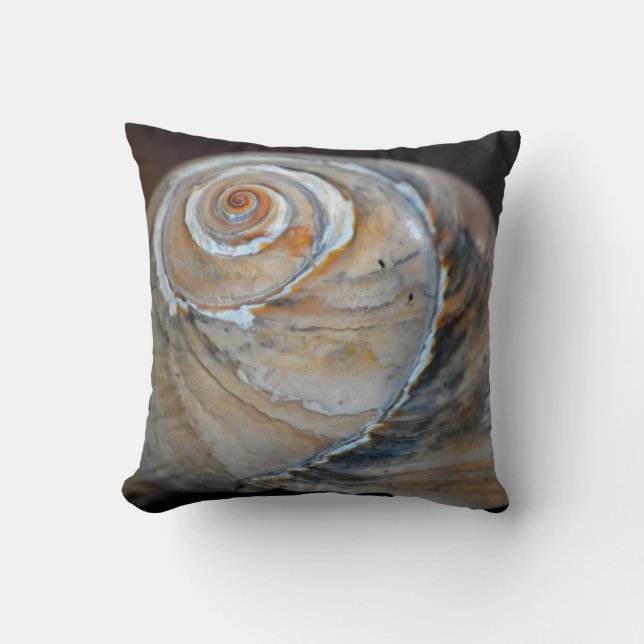 Regnbåge Moonsnail Kudde (Framsida)