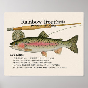 Regnbåge Öring – Japansk Konsttryck Poster