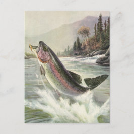 Regnbåge Öring, Vintage Fiskare Fiskar Fisk Vykort