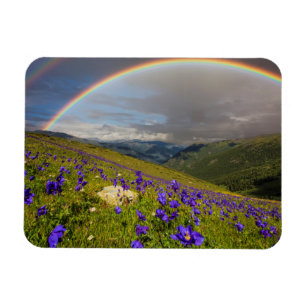 Regnbåge över en Blommar Magnet