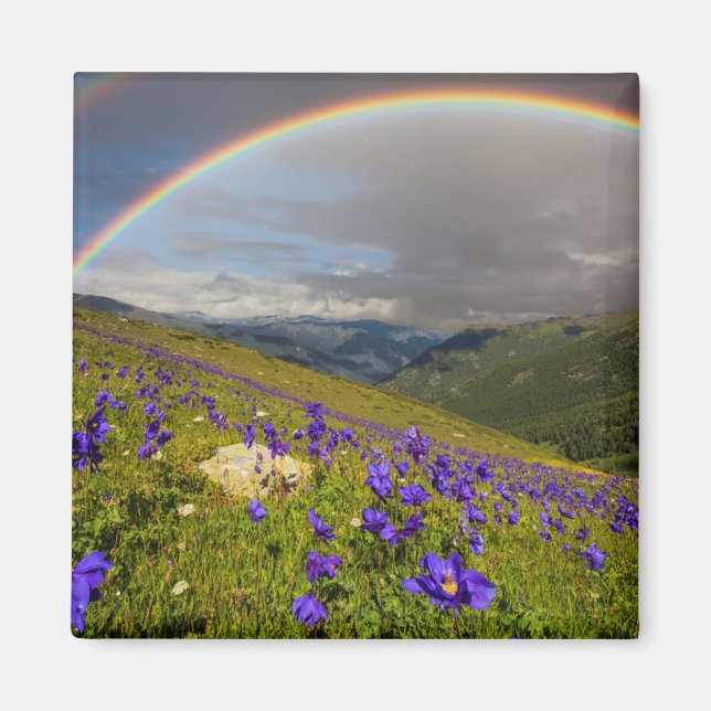 Regnbåge över en Blommar Magnet (Framsidan)