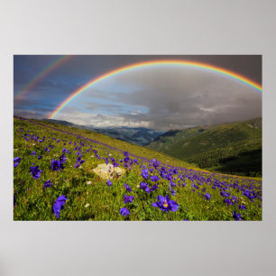 Regnbåge över en blommaräng poster