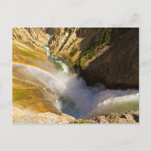 Regnbåge över nedre Yellowstone Falls Vykort (Framsida)