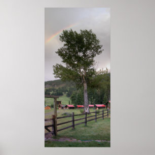 Regnbåge över sötgräs Ranch Poster