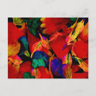 Regnbåge Redux vykort