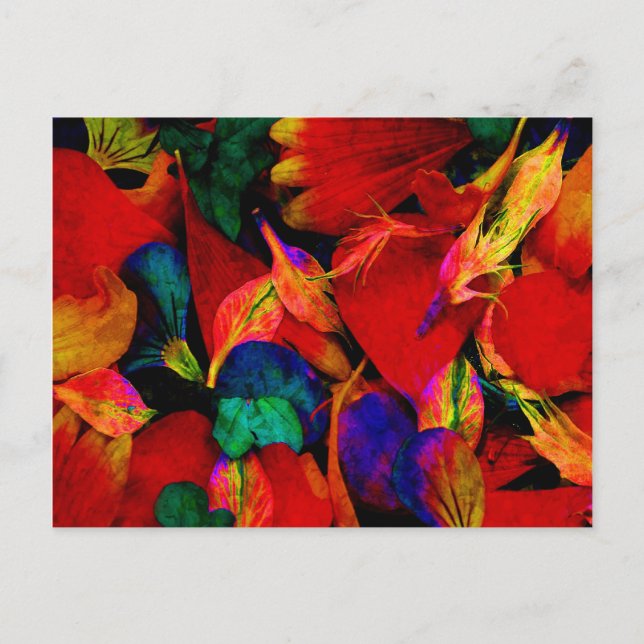 Regnbåge Redux vykort (Framsida)