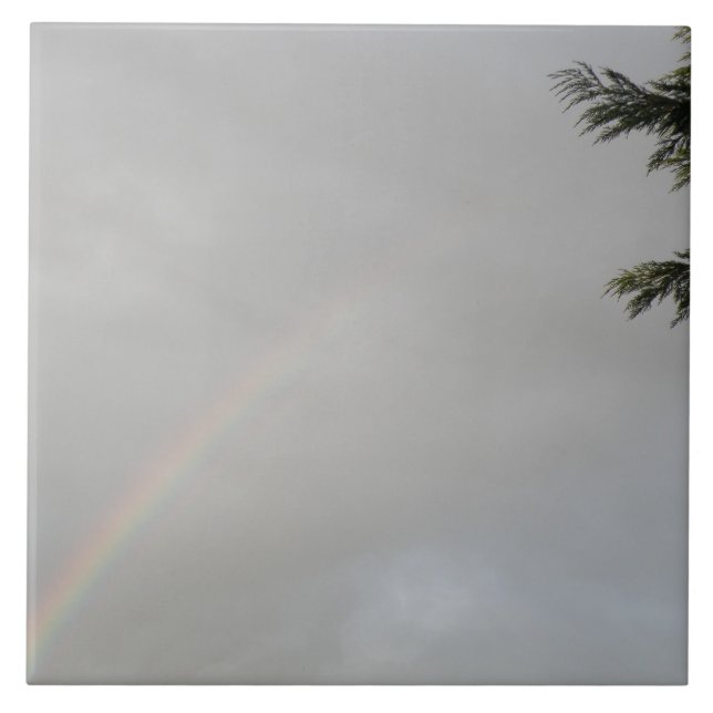 Regnbåge Tile Kakelplatta (Framsidan)