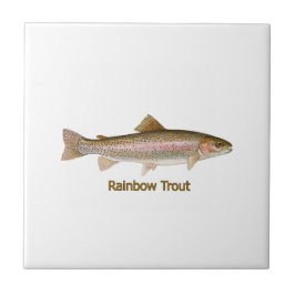 Regnbåge (titel) kakelplatta