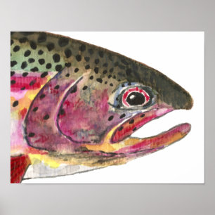 Regnbåge Trout Fish Poster