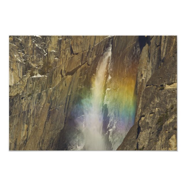 Regnbåge vid Upper Yosemite Falls i Yosemite Fototryck (Framsidan)