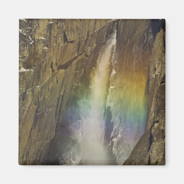 Regnbåge vid Upper Yosemite Falls i Yosemite Magnet (Framsidan)