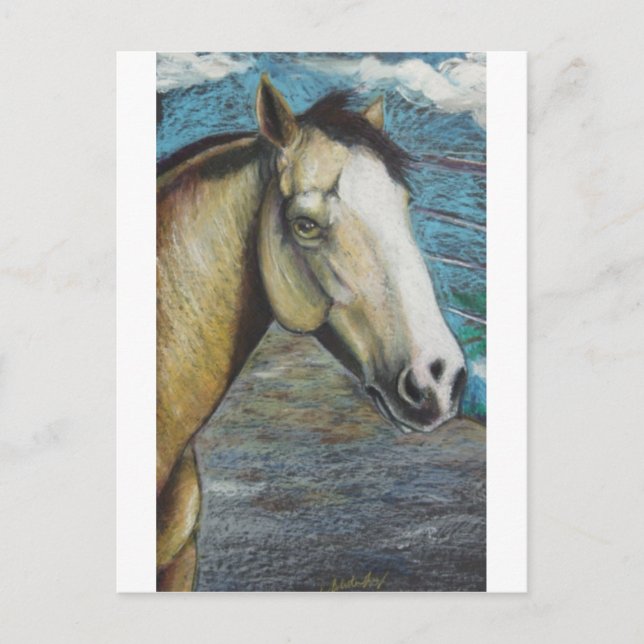 Regnbåge Vykort (Framsida)