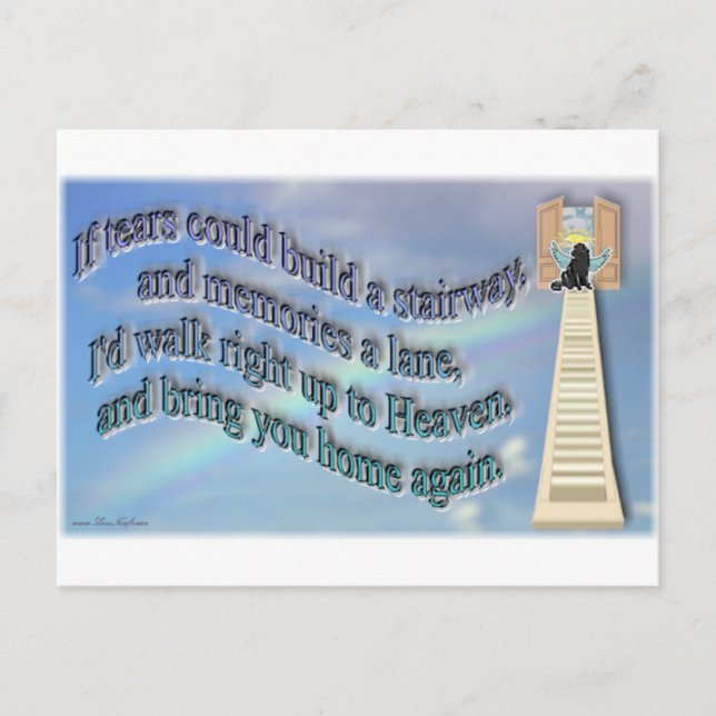 RegnbågeBridge Vykort (Framsida)