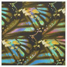 Regnbågefjärilsvingar