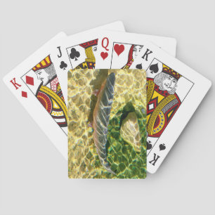 Regnbågeforell Casinokort