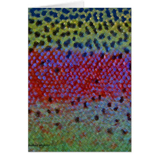 Regnbågeforell - kort