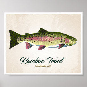 Regnbågeforell Poster