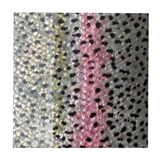 Regnbågeforell vid PatternWear© Kakelplatta (Framsidan)