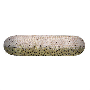 RegnbågeforellSkateboard Skateboard Bräda 20 Cm