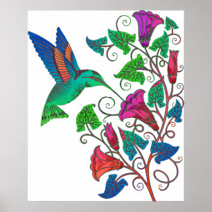 RegnbågeHummingbird Poster